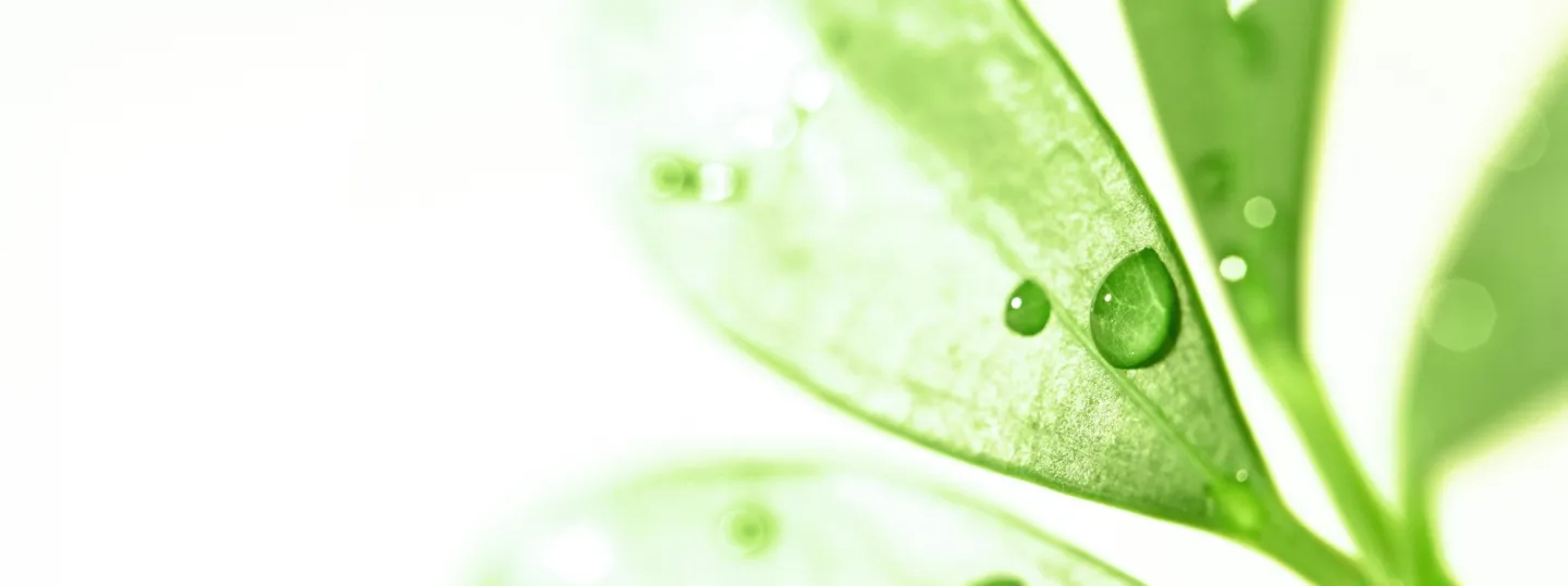 Artikel-Banner-Ökodesign