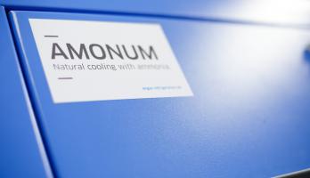 Artikel-Banner-Amonum